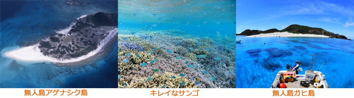 ボートシュノーケリング