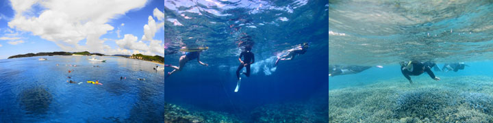 ボートシュノーケリング